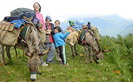 Walking with Donkeys in the Pyrenees