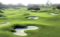 golf-bg